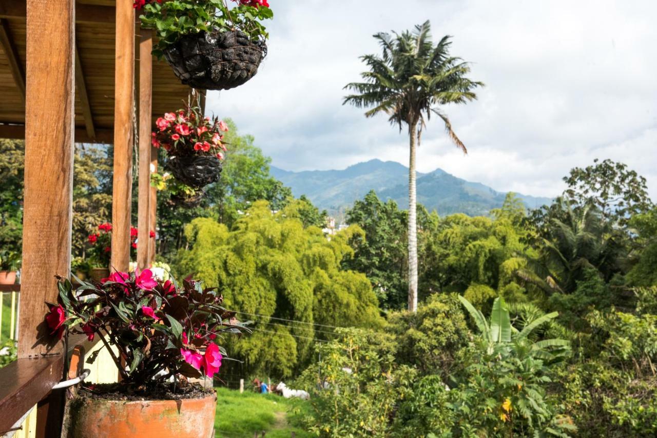 La Posada De La Abuela Salento Exterior foto